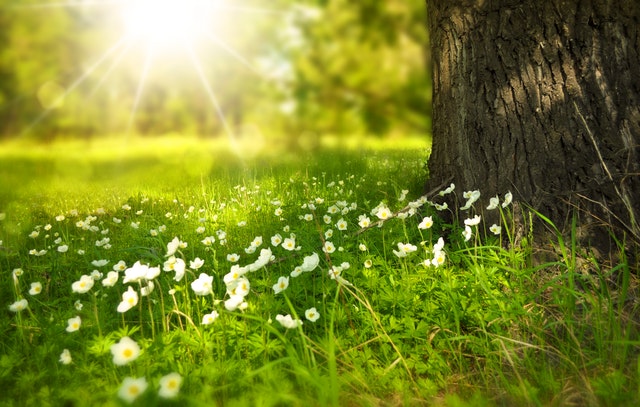 THE SUNSHINE VITAMIN AND YOUR SKIN